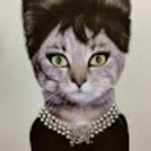 Meet your Posher, Sandra